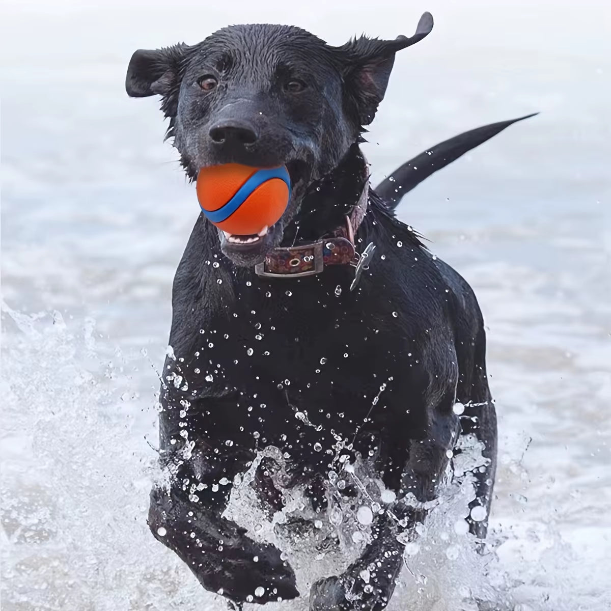Ultra Highly Visible Bouncing and Floating Durable Rubber Super Bouncy Ball Sound Balls Horse Dog Tennis Toy Floats in Water