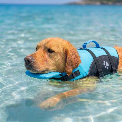Giubbotto di salvataggio Floa per cani, colore azzurro, con maniglia di soccorso
